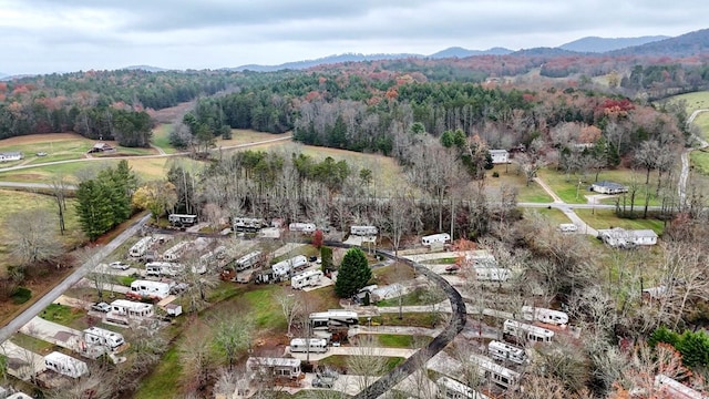 birds eye view of property with a mountain view