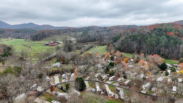 birds eye view of property with a mountain view