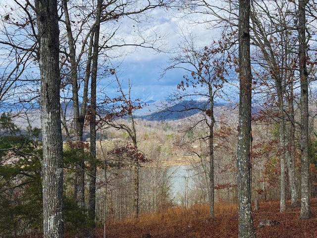 LOT8 Drake Rdg, Hayesville NC, 28904 land for sale