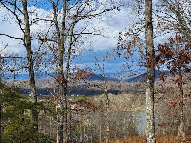 Listing photo 3 for LOT8 Drake Rdg, Hayesville NC 28904