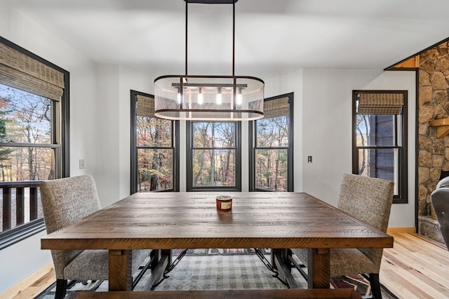 dining room with light hardwood / wood-style floors