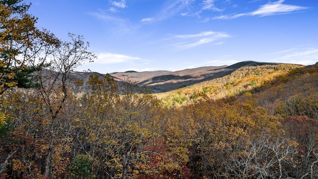 view of mountain feature