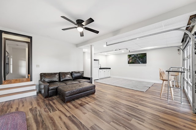 living room with hardwood / wood-style flooring and ceiling fan