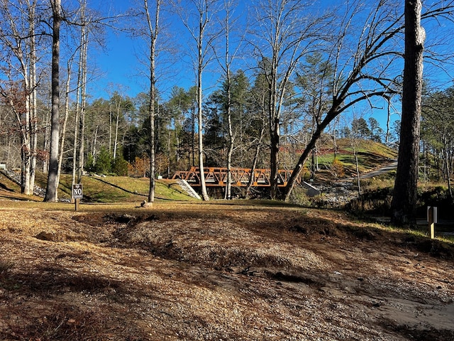 LOT112 High River Xing, Ellijay, GA 30540