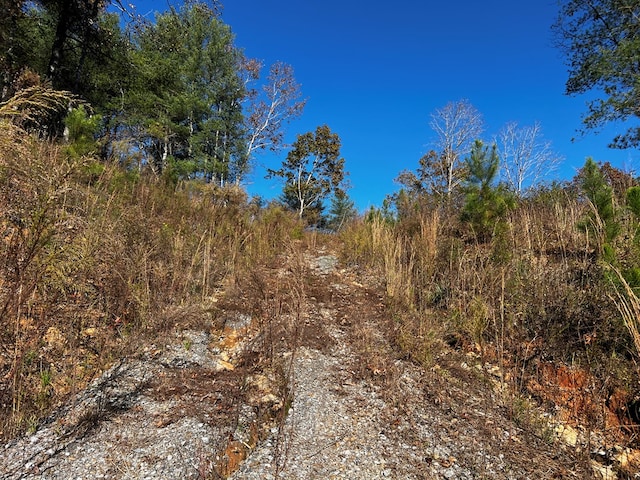 LOT112 High River Xing, Ellijay, GA 30540
