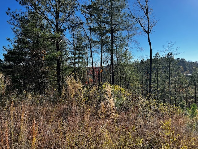 LOT112 High River Xing, Ellijay, GA 30540