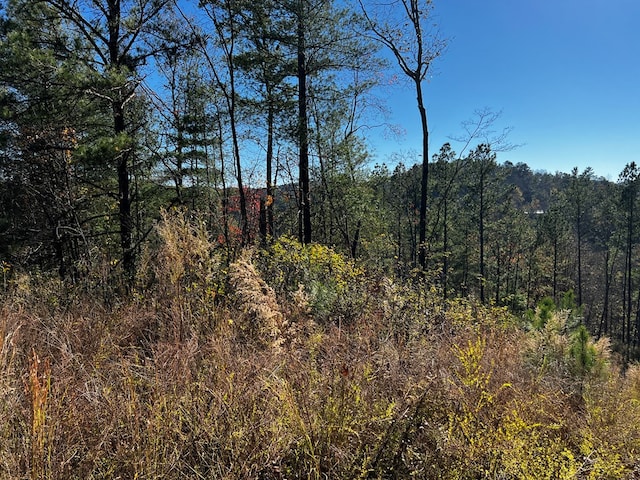 LOT112 High River Xing, Ellijay, GA 30540