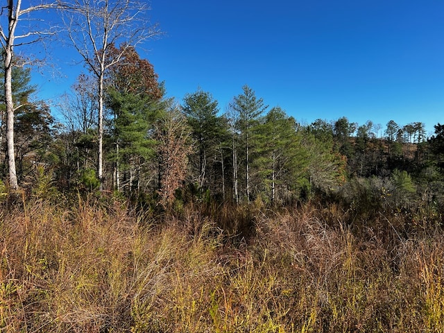 LOT112 High River Xing, Ellijay, GA 30540