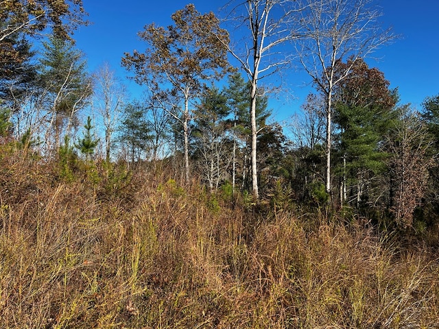 LOT112 High River Xing, Ellijay, GA 30540