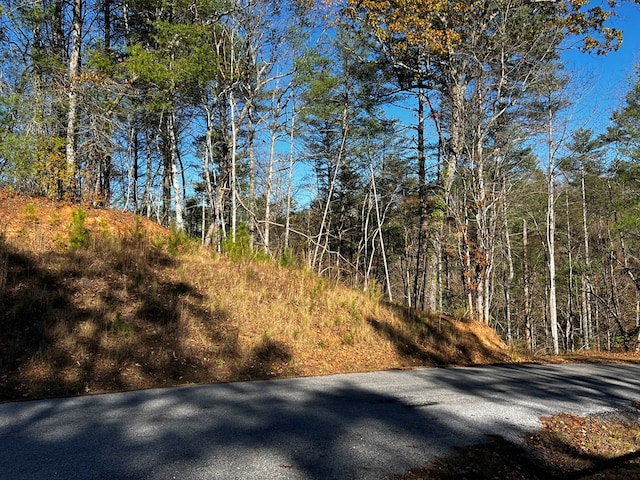 LOT112 High River Xing, Ellijay, GA 30540
