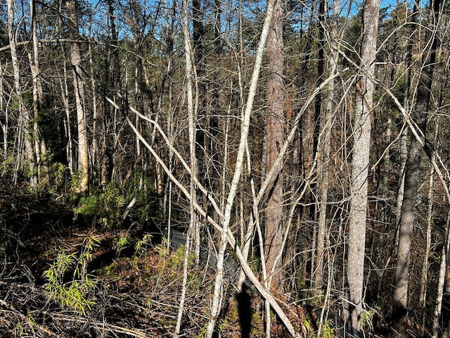 LOT112 High River Xing, Ellijay, GA 30540