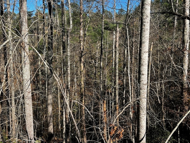 LOT112 High River Xing, Ellijay, GA 30540