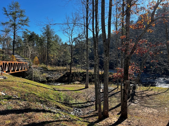 Listing photo 3 for LOT112 High River Xing, Ellijay GA 30540