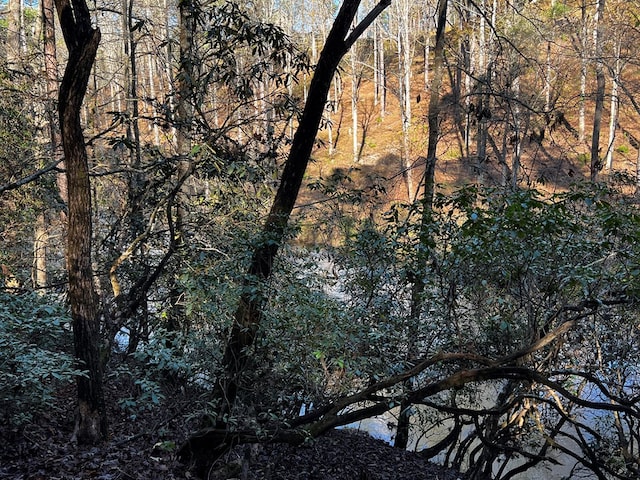 LOT112 High River Xing, Ellijay, GA 30540