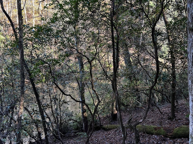 LOT112 High River Xing, Ellijay, GA 30540