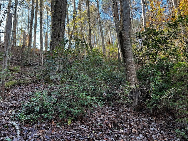 LOT112 High River Xing, Ellijay, GA 30540