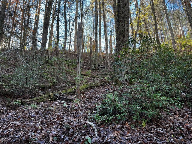 LOT112 High River Xing, Ellijay, GA 30540