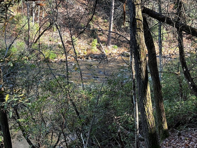 LOT112 High River Xing, Ellijay, GA 30540