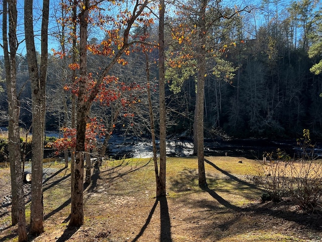 LOT112 High River Xing, Ellijay, GA 30540