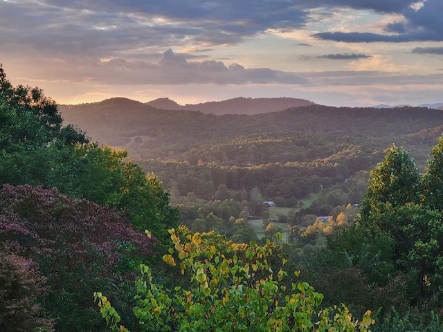 view of mountain feature