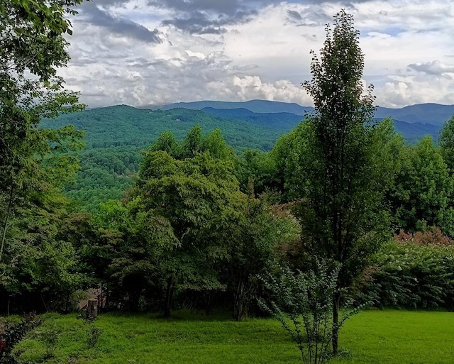 view of mountain feature