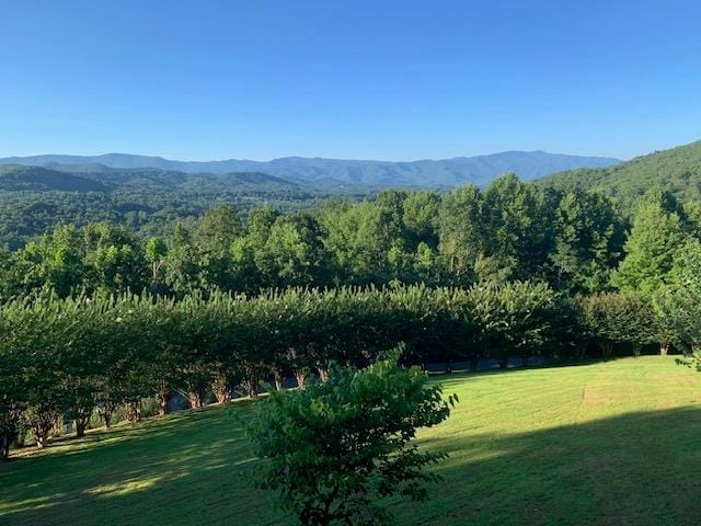 property view of mountains with a rural view