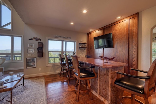 bar with a mountain view and dark wood-type flooring