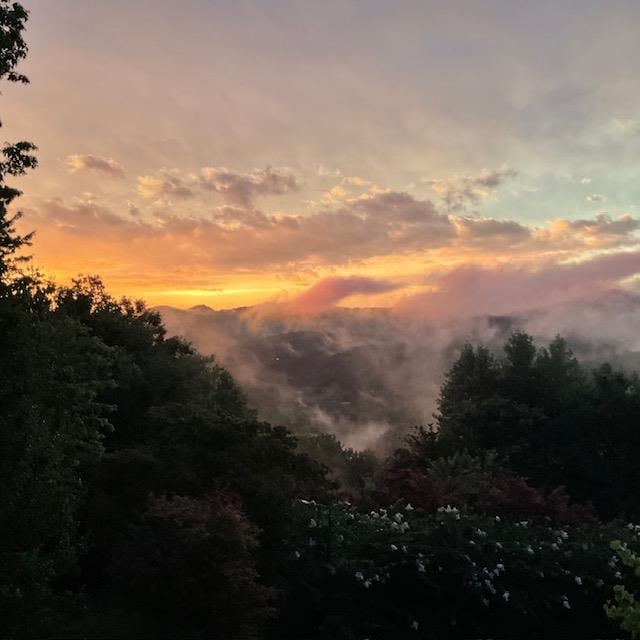 view of nature at dusk