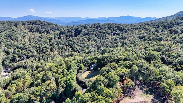 bird's eye view with a mountain view