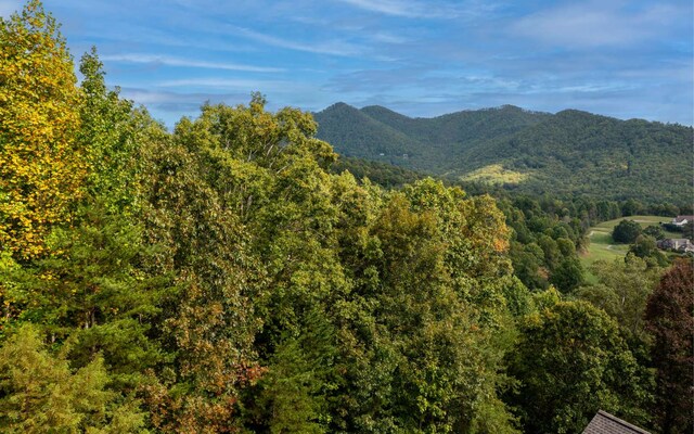 29C Indian Trl, Hayesville NC, 28904 land for sale