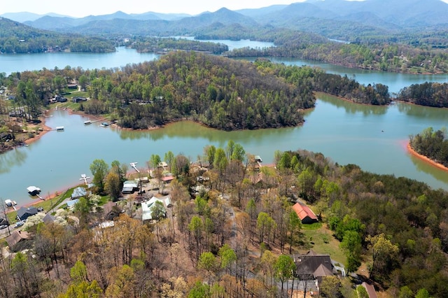 bird's eye view featuring a water and mountain view