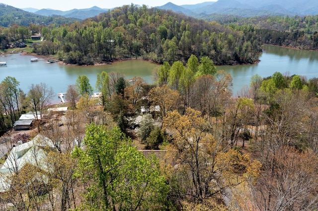 aerial view with a water and mountain view