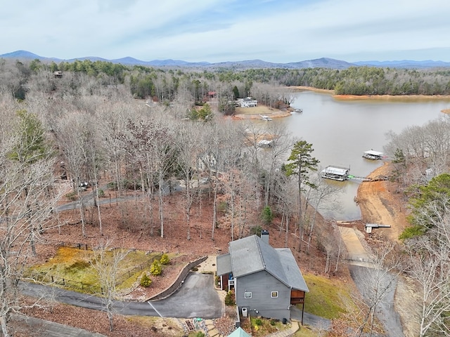 birds eye view of property featuring a water and mountain view