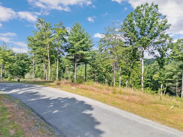 LT122 Ridge Dr, Morganton GA, 30562 land for sale