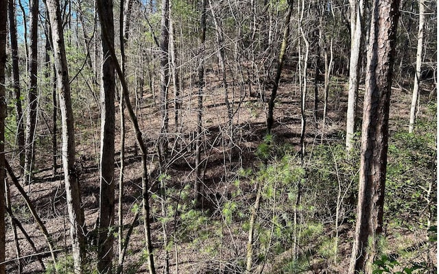 LT77 Roaring Forks Ln, Ellijay, GA 30540