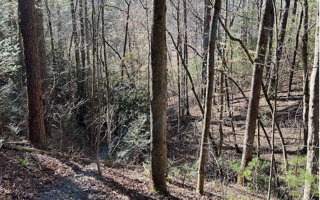 LT77 Roaring Forks Ln, Ellijay, GA 30540