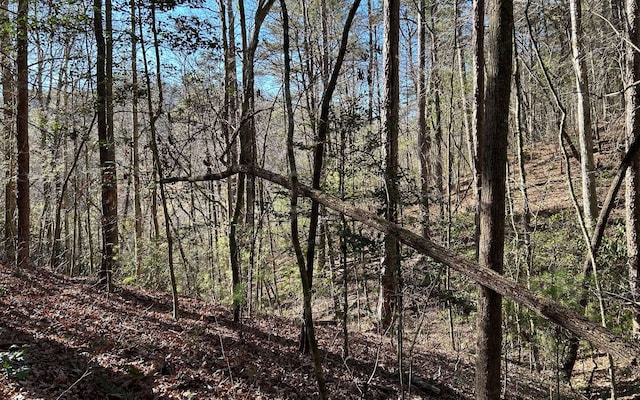 LT77 Roaring Forks Ln, Ellijay, GA 30540