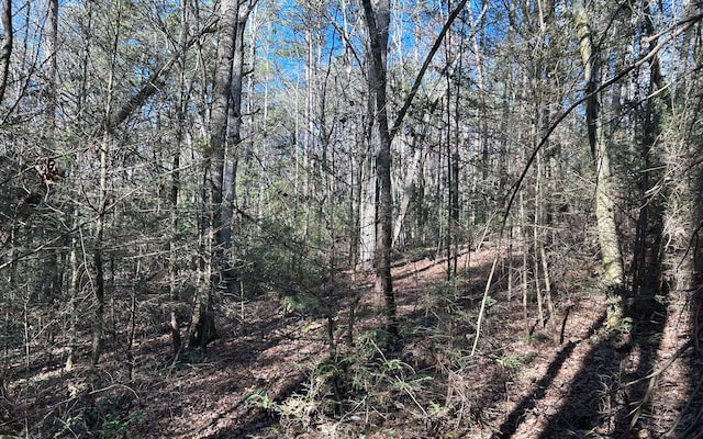 LT77 Roaring Forks Ln, Ellijay, GA 30540