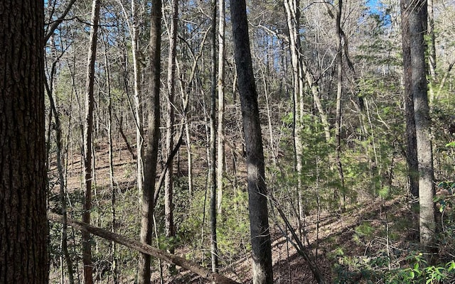 LT77 Roaring Forks Ln, Ellijay, GA 30540