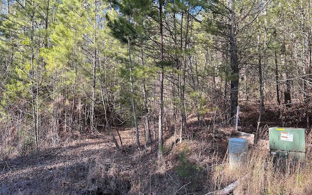 LT77 Roaring Forks Ln, Ellijay, GA 30540