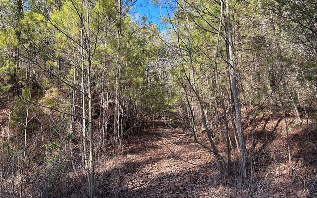 LT77 Roaring Forks Ln, Ellijay, GA 30540