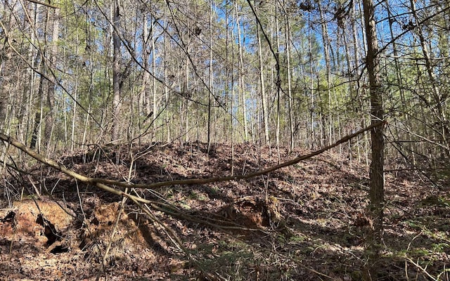 LT77 Roaring Forks Ln, Ellijay, GA 30540