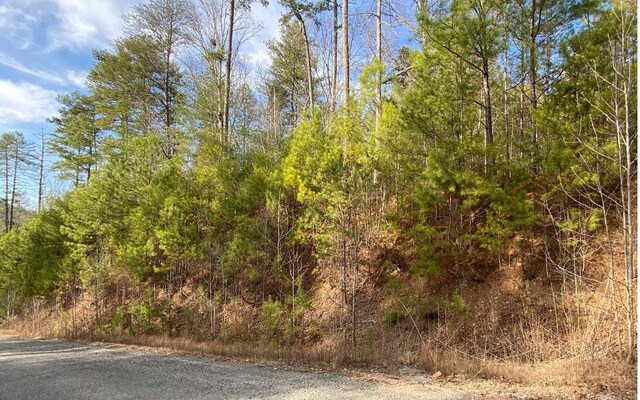 LT77 Roaring Forks Ln, Ellijay, GA 30540