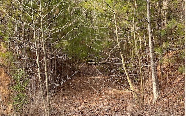 LT77 Roaring Forks Ln, Ellijay, GA 30540