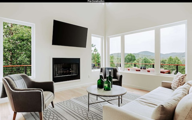 living room with a mountain view and light hardwood / wood-style floors