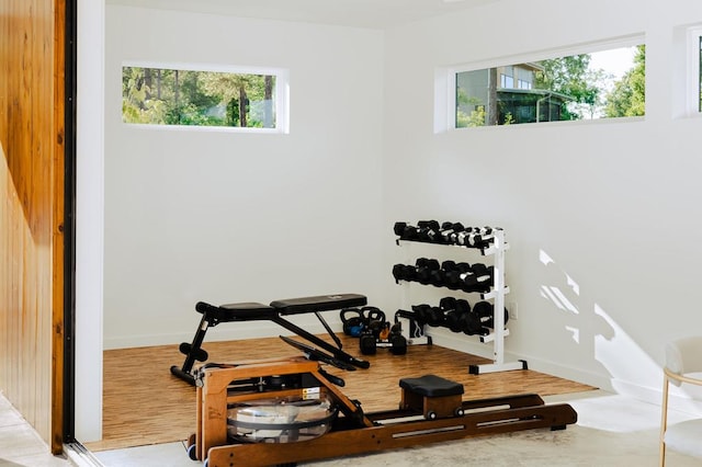 workout area featuring a wealth of natural light and light hardwood / wood-style floors