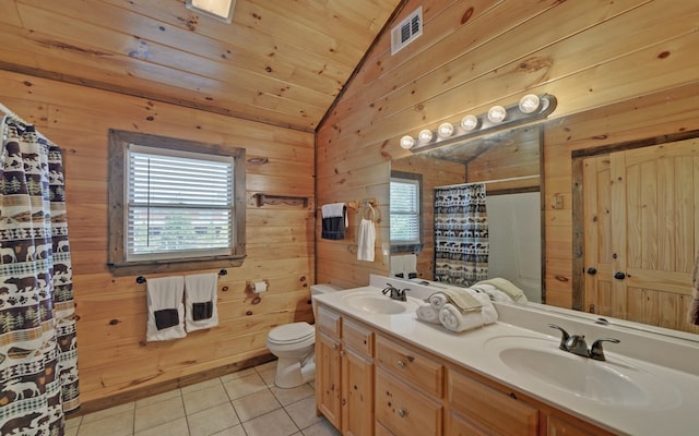 166 Dallas Ln, Blue Ridge, GA 30513 - full bathroom with a sink, vaulted ceiling, toilet, and visible vents