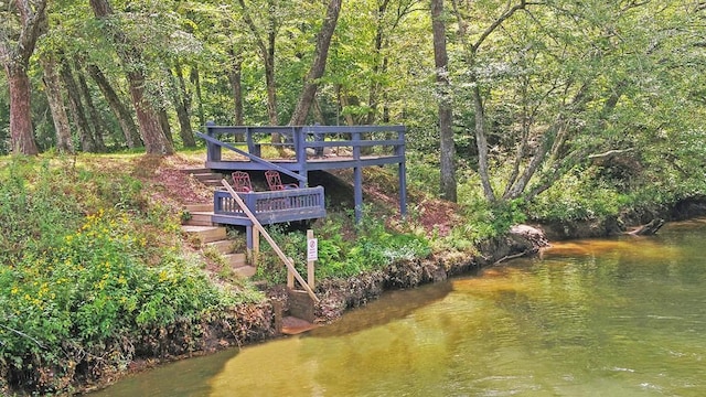 166 Dallas Ln, Blue Ridge, GA 30513 - exterior space