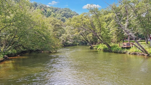166 Dallas Ln, Blue Ridge, GA 30513 - property view of water with a forest view