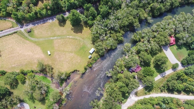 166 Dallas Ln, Blue Ridge, GA 30513 - bird's eye view with a water view